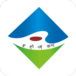 大美杂多app