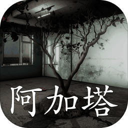 阿加塔游戏