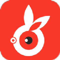 爱兔币提词app
