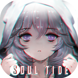 灵魂潮汐免登录版