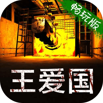 王爱国游戏