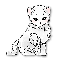 猫和纸箱最新版