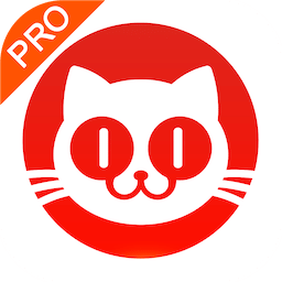 猫眼票房分析专业版