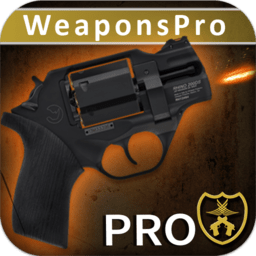 终极武器模拟器pro汉化版